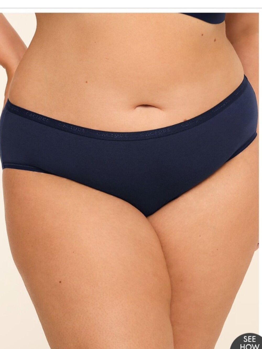 Cacique 18/20 Cotton Hipster Panty